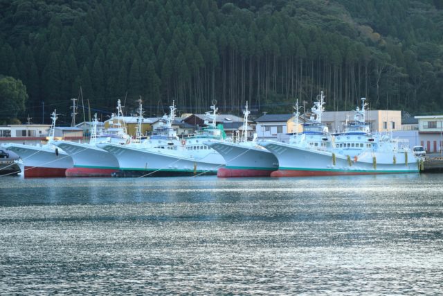 遠洋漁業の漁船